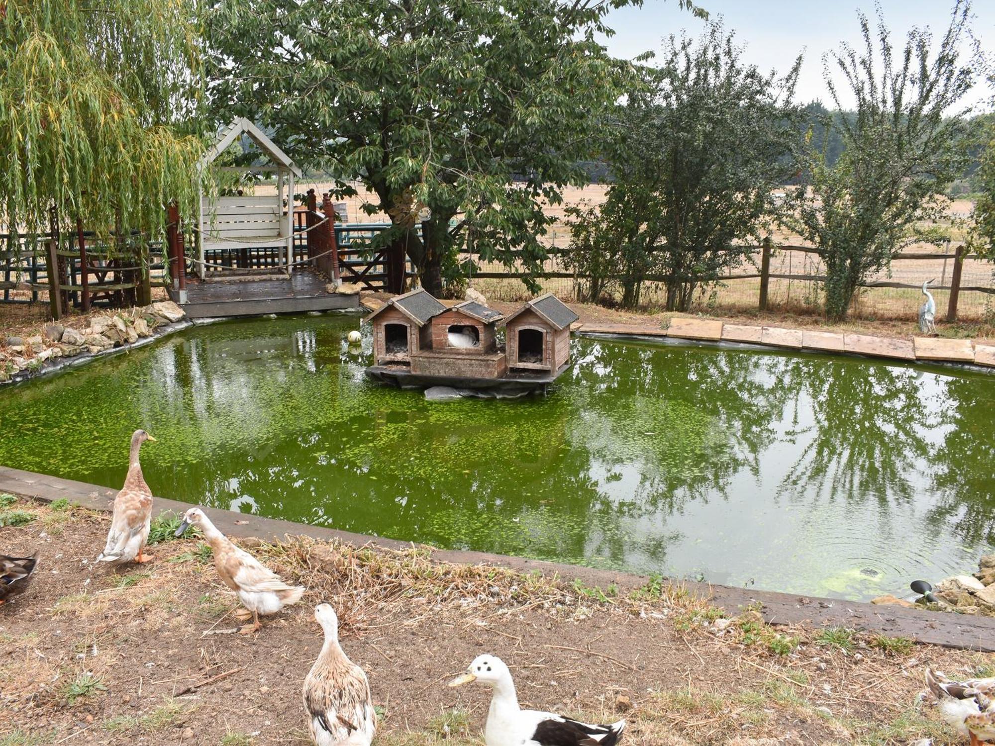 South Wing Coldharbour Park Farm Villa Rake Dış mekan fotoğraf